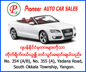 Pioneer Auto Car Sale